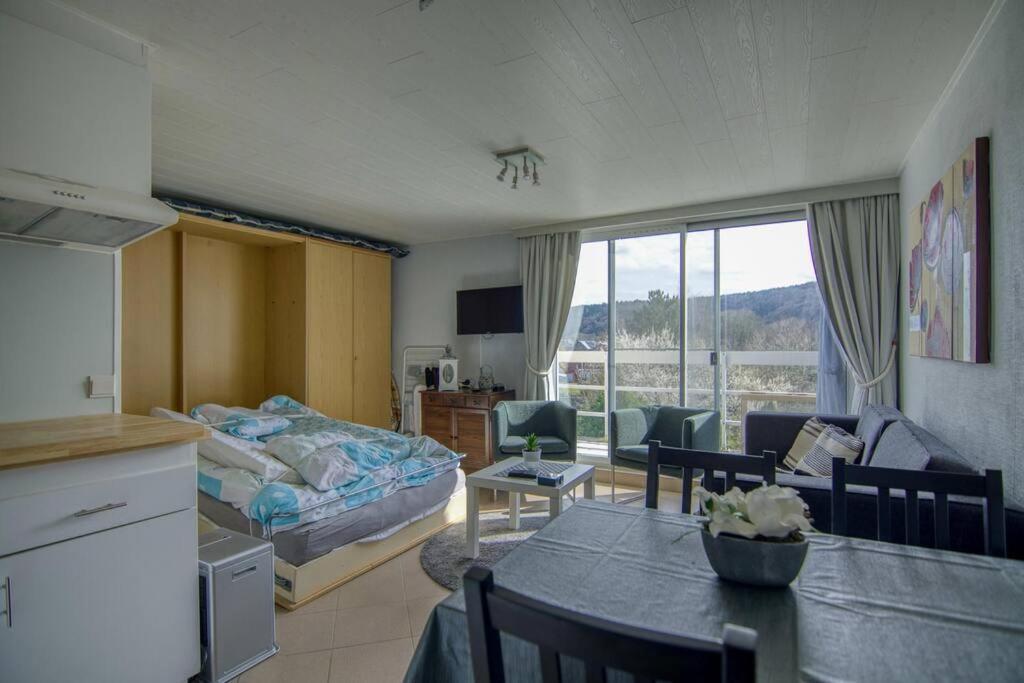 Apartmán Studio Au Domaine Le Vieux Moulin Han-sur-Lesse Exteriér fotografie